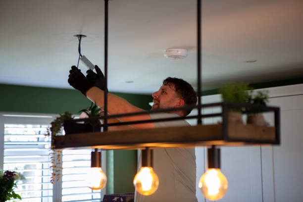 Best Electric Panel Repair  in Hampton, GA